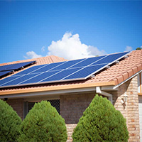 Озеленение